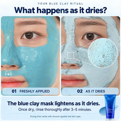 Zero Pores Blackhead Mud Mask-Free Pore Brush